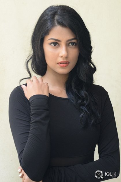Anisha-Ambrose-at-Run-Movie-Release-Press-Meet